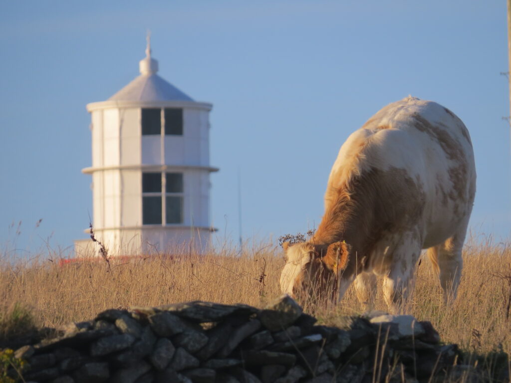 Lighthouse Accommodation, Galley Head, Co. Cork