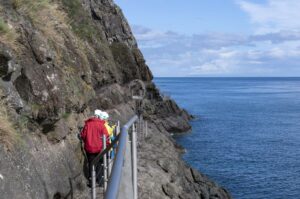 The Gobbins Cliff Path.