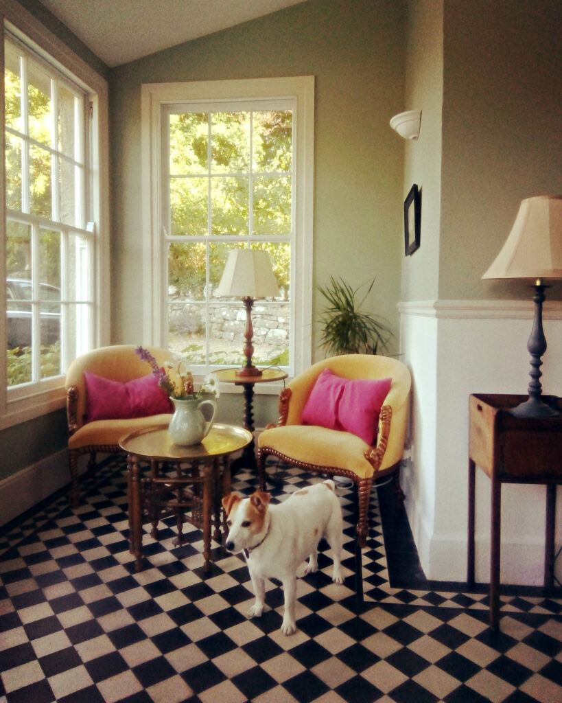 Jack Russell terrier standing in the resplendent entrance hallway of Inchiquin House, County Clare.